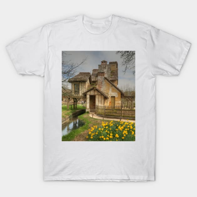 The Mill & a Daffodil or two or ... T-Shirt by Michaelm43